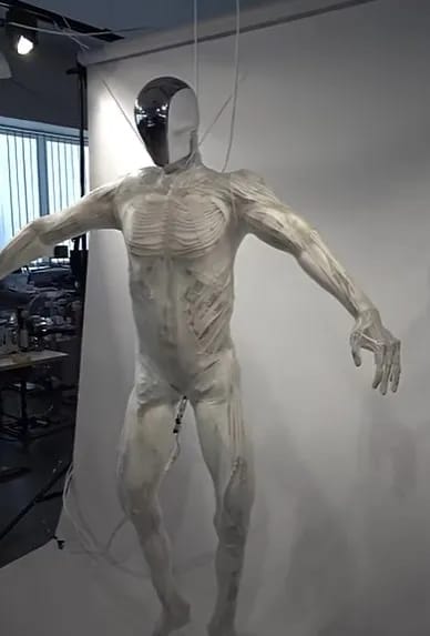 روبوت روبوت