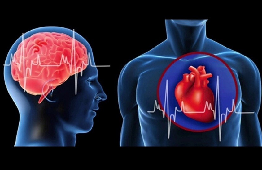 67e665a5423604187e2c0b4c اكتشاف علاقة بين أمراض القلب والتغيرات الدماغية