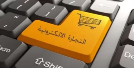 التجارة الإلكترونية في مصر والعالم العربي تحقيق النمو وتأثيرها الاقتصادي